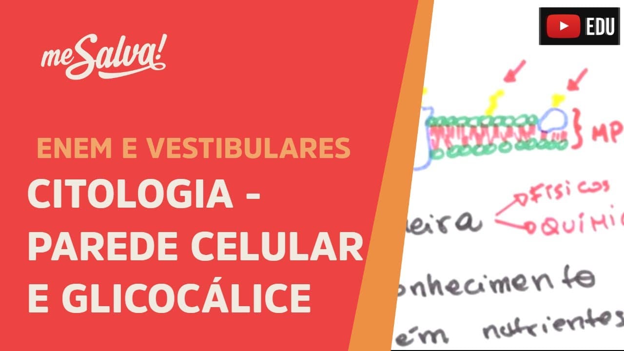 Thumbnail: Me Salva! CIT13 - Citologia - Parede celular e glicocálice