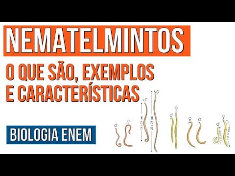 Thumbnail da aula: NEMATELMINTOS: o que são, exemplos e características | Resumo de Biologia para o Enem | Cláudia