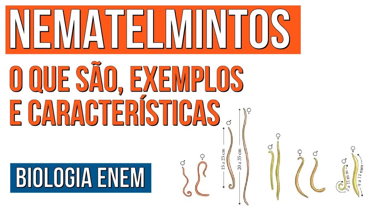 Thumbnail: NEMATELMINTOS: o que são, exemplos e características | Resumo de Biologia para o Enem | Cláudia