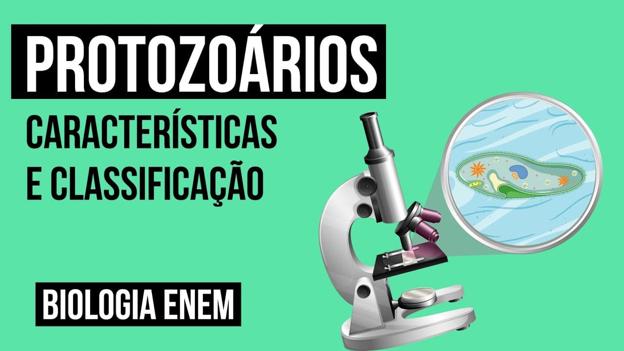 Thumbnail: PROTOZOÁRIOS: características e classificação | Biologia para o Enem | Cláudia de Souza Aguiar