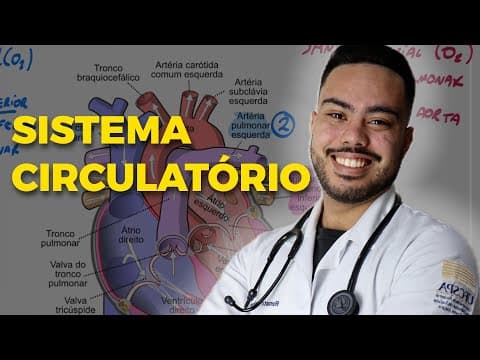Thumbnail da aula: 🫀 SISTEMA CIRCULATÓRIO: O que você PRECISA saber para o ENEM!