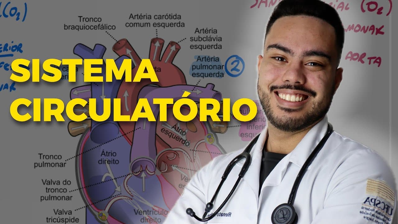 Thumbnail: 🫀 SISTEMA CIRCULATÓRIO: O que você PRECISA saber para o ENEM!