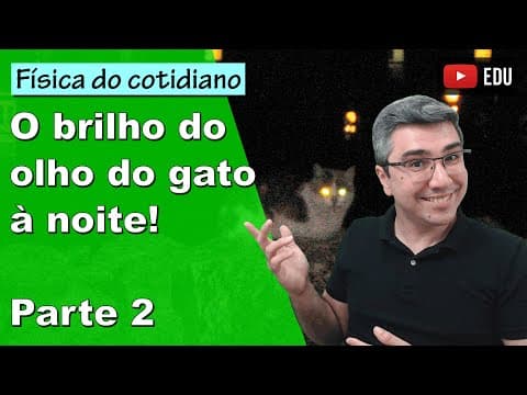 Thumbnail da aula: Física do olho brilhante do gato! | Física do cotidiano | Tapetum lucidum