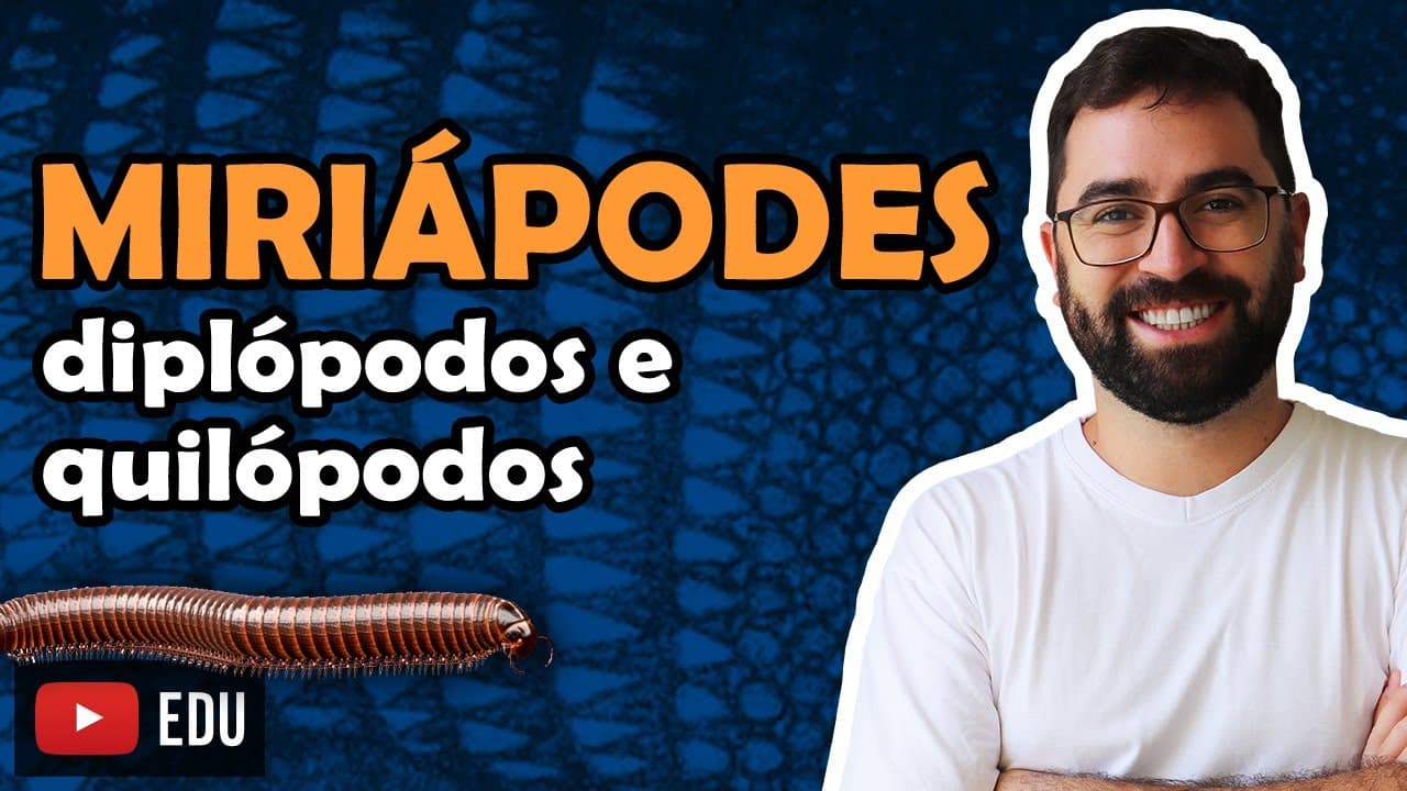 Thumbnail: Miriápodes (Artrópodes: Parte 5) - Aula 24 - Módulo VI: Zoologia | Prof. Guilherme