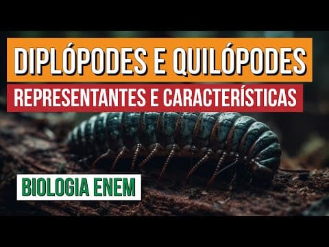 Thumbnail da aula: DIPLÓPODES E QUILÓPODES: representantes e características | Biologia para o Enem | Cláudia Aguiar
