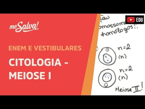 Thumbnail da aula: Me Salva! CIT28 - Citologia - Meiose I