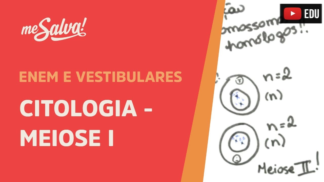 Thumbnail: Me Salva! CIT28 - Citologia - Meiose I