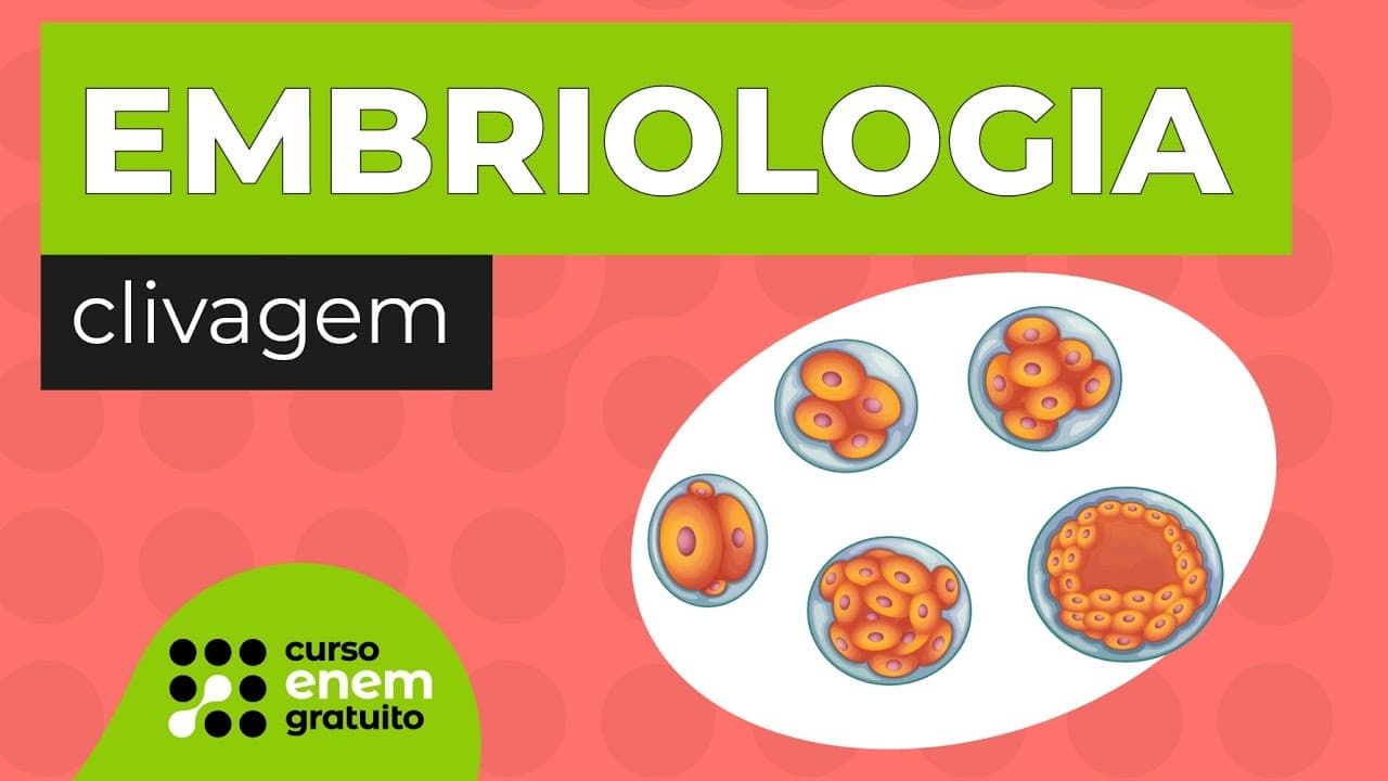 Thumbnail: EMBRIOLOGIA: clivagem | Biologia para o Enem | Cláudia de Souza Aguiar