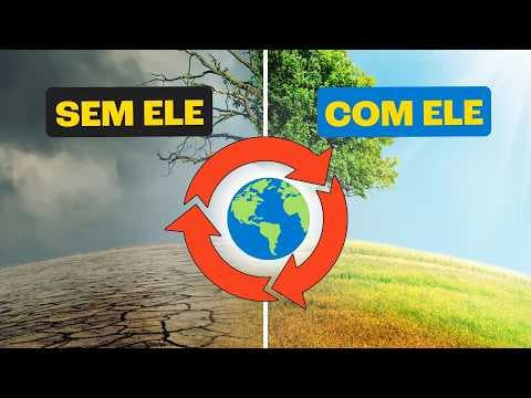 Thumbnail da aula: Ciclos Biogeoquímicos são FUNDAMENTAIS para vida na Terra