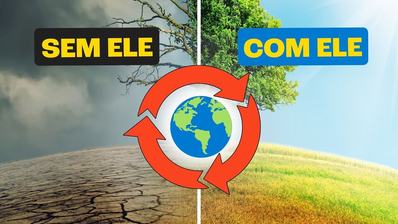 Thumbnail: Ciclos Biogeoquímicos são FUNDAMENTAIS para vida na Terra