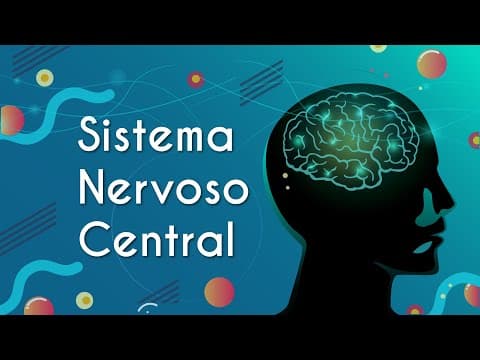 Thumbnail da aula: Sistema Nervoso Central - Brasil Escola