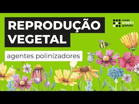 Thumbnail da aula: REPRODUÇÃO VEGETAL: agentes polinizadores | Biologia para o Enem | Cláudia de Souza Aguiar