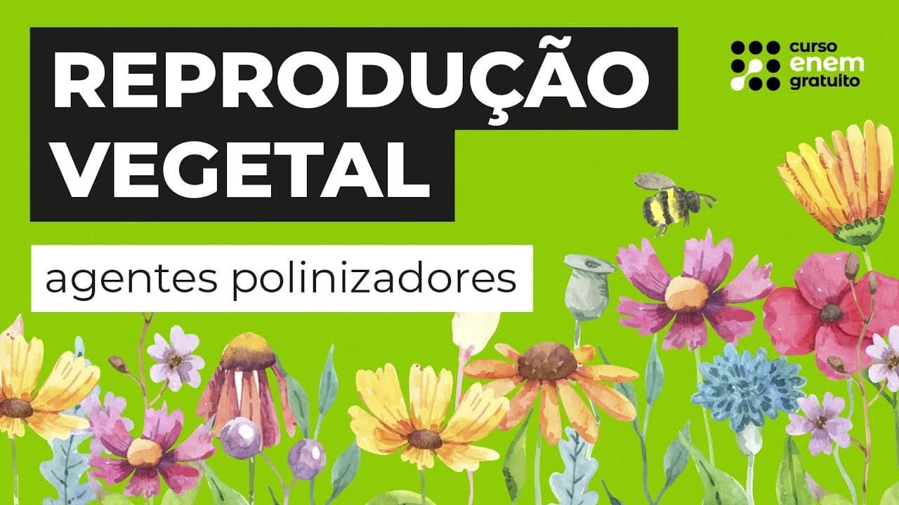 Thumbnail: REPRODUÇÃO VEGETAL: agentes polinizadores | Biologia para o Enem | Cláudia de Souza Aguiar