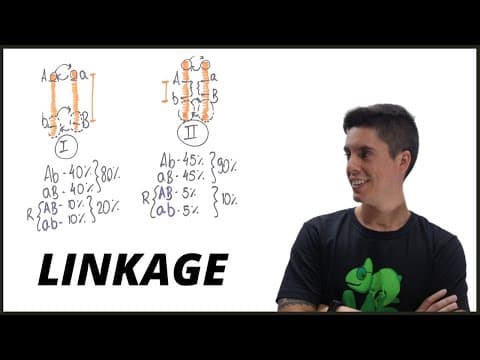 Thumbnail da aula: LIGAÇÃO GÊNICA (LINKAGE) - PROFESSOR GUSTAVO
