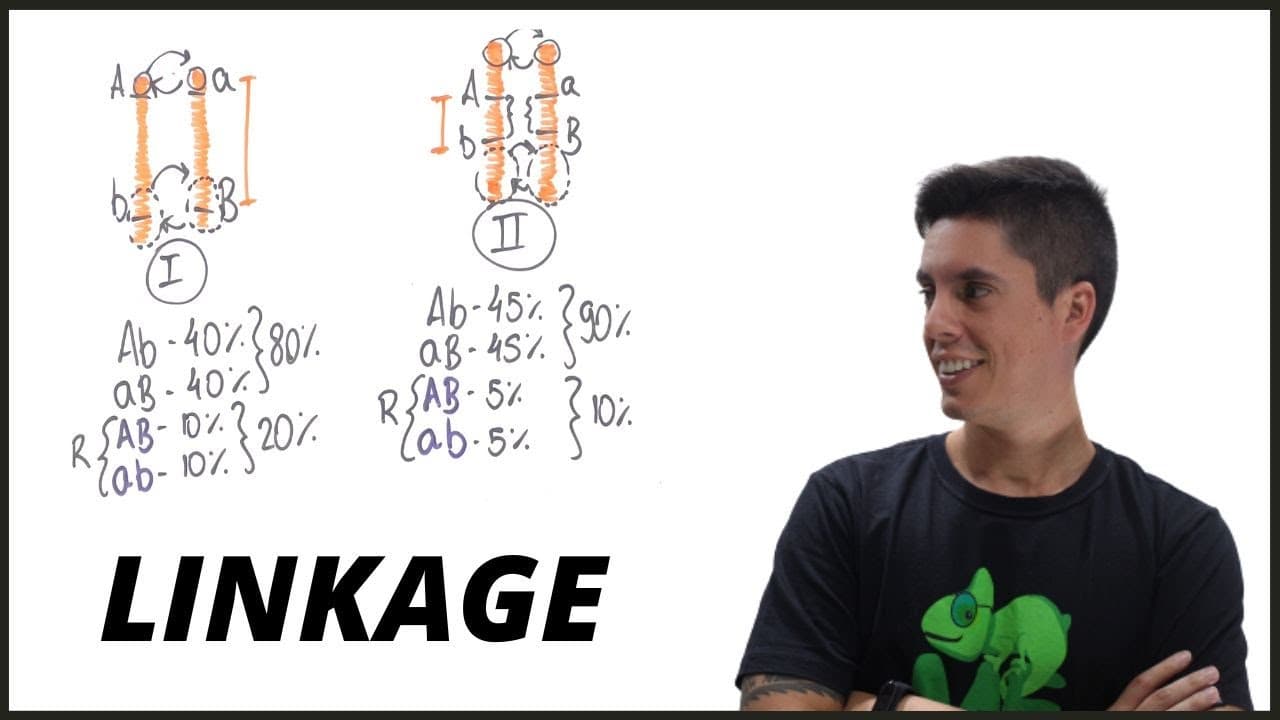Thumbnail: LIGAÇÃO GÊNICA (LINKAGE) - PROFESSOR GUSTAVO