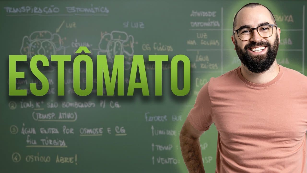 Thumbnail: Estômato (transpiração estomática) - Fisiologia Vegetal - Aula 25: Botânica (Prof. Guilherme)