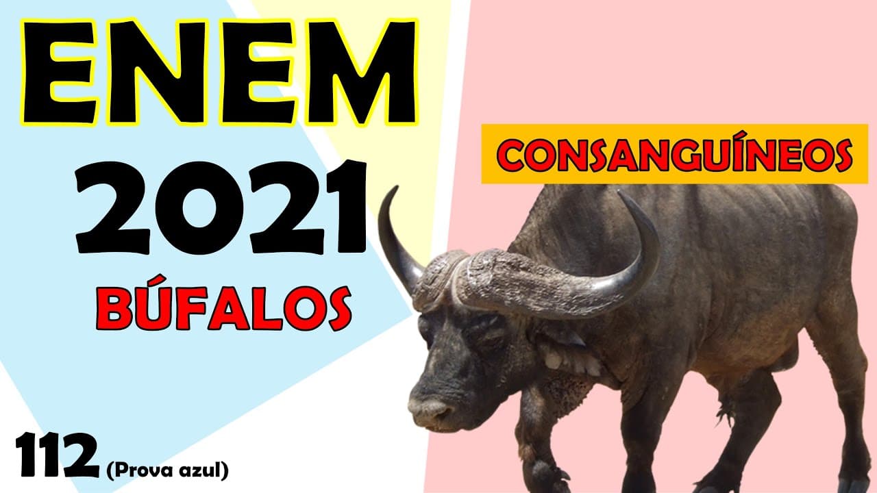 Thumbnail: (ENEM – 2021) Os búfalos são animais considerados rústicos pelos criadores e, por isso, são
