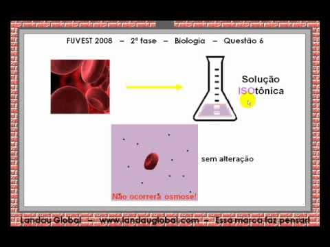 Thumbnail da aula: USP_2008_BIO_P2_Q6