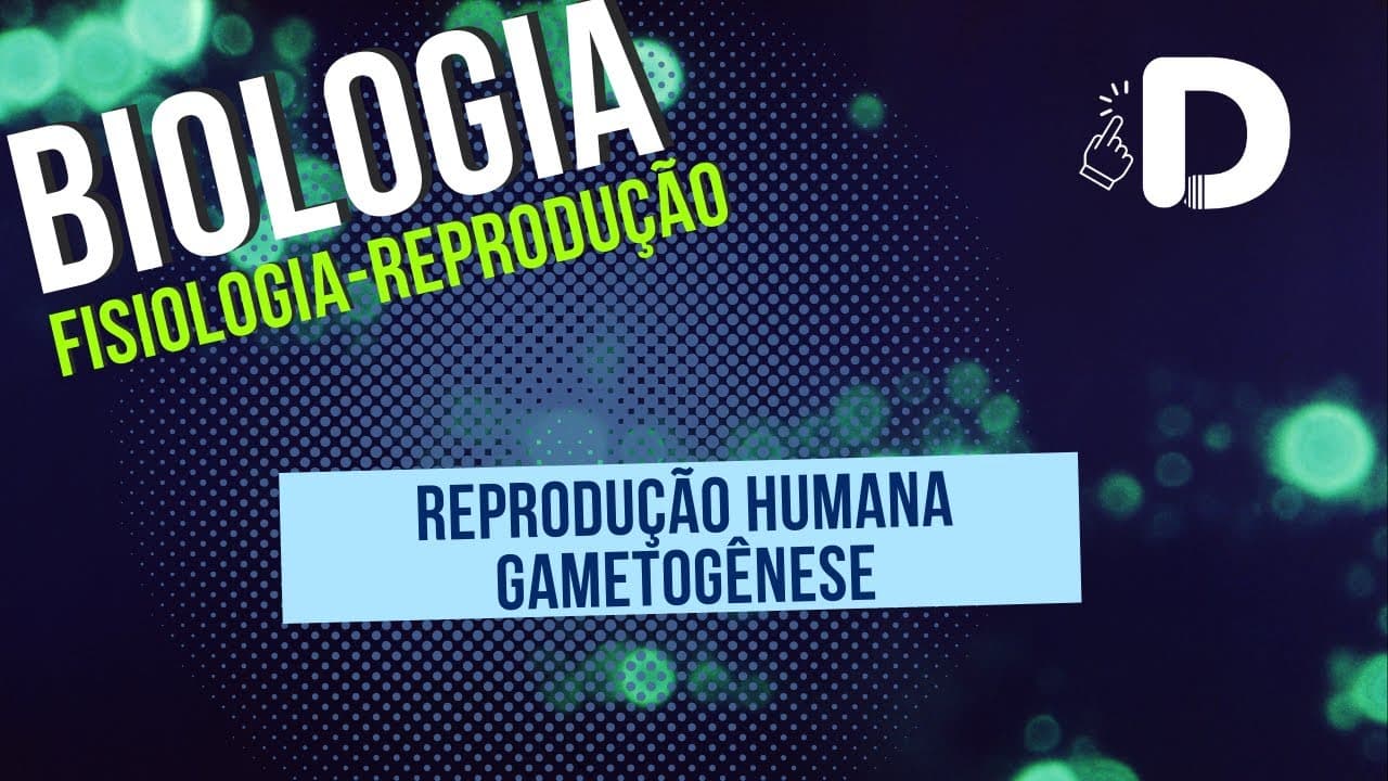 Thumbnail: Gametogênese - Reprodução Humana - Biologia - Preparatório Enem