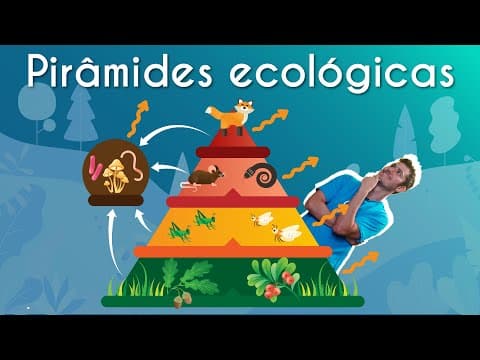 Thumbnail da aula: Pirâmides ecológicas - Brasil Escola