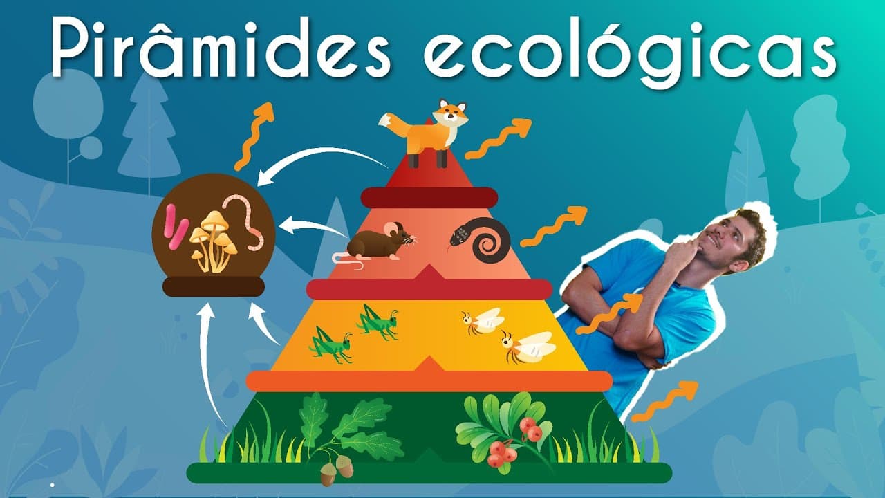 Thumbnail: Pirâmides ecológicas - Brasil Escola