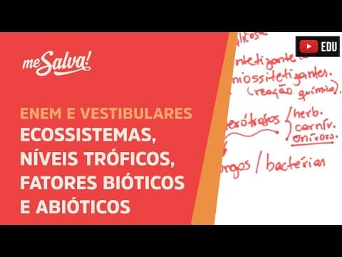 Thumbnail da aula: Me Salva! ECO13 - Ecologia - Ecossistemas, níveis tróficos, fatores bióticos e abióticos