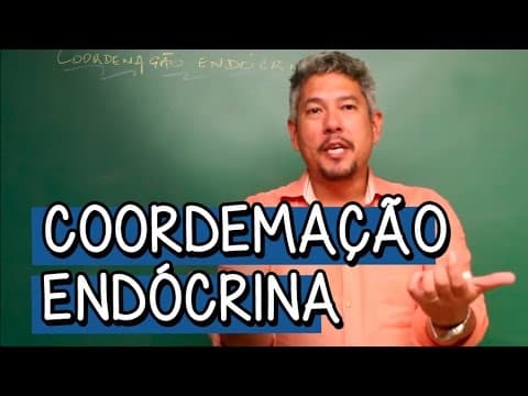 Thumbnail da aula: O que é Coordemação Endócrina? - Extensivo Biologia | Descomplica
