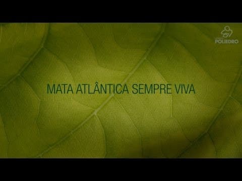 Thumbnail da aula: Mata Atlântica Sempre Viva
