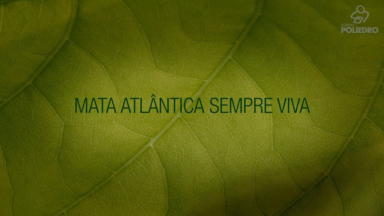 Thumbnail: Mata Atlântica Sempre Viva