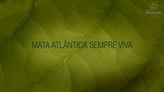 Mata Atlântica Sempre Viva