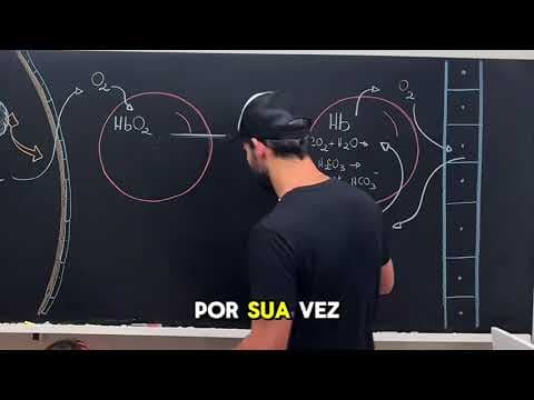 Thumbnail da aula: Como ocorre o transporte do oxigênio no corpo humano.