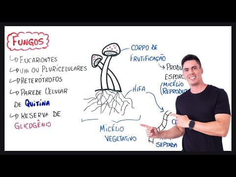 Thumbnail da aula: Resumo Fungos