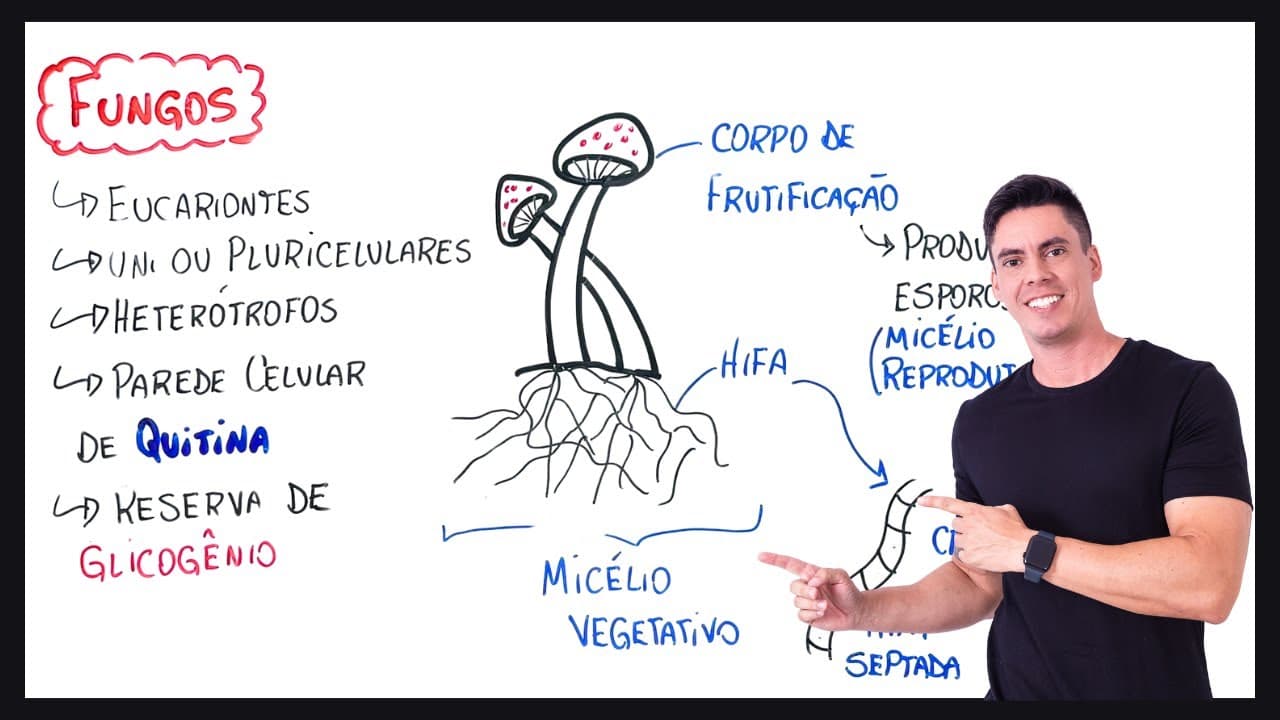 Thumbnail: Resumo Fungos