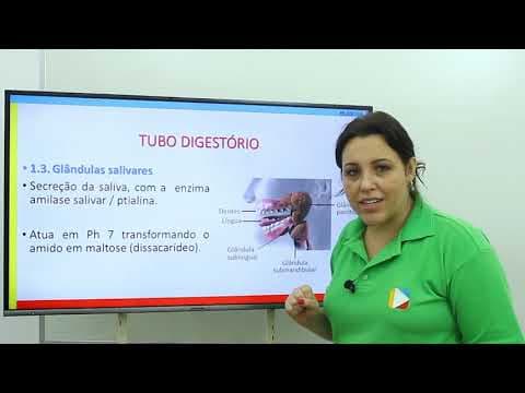 Thumbnail da aula: Biologia - Sistema Digestório: Boca, Faringe e Esôfago