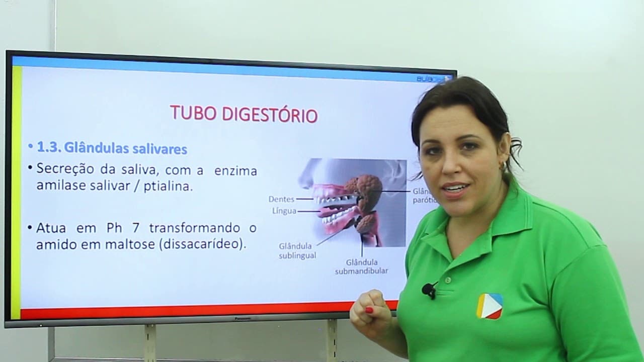 Thumbnail: Biologia - Sistema Digestório: Boca, Faringe e Esôfago