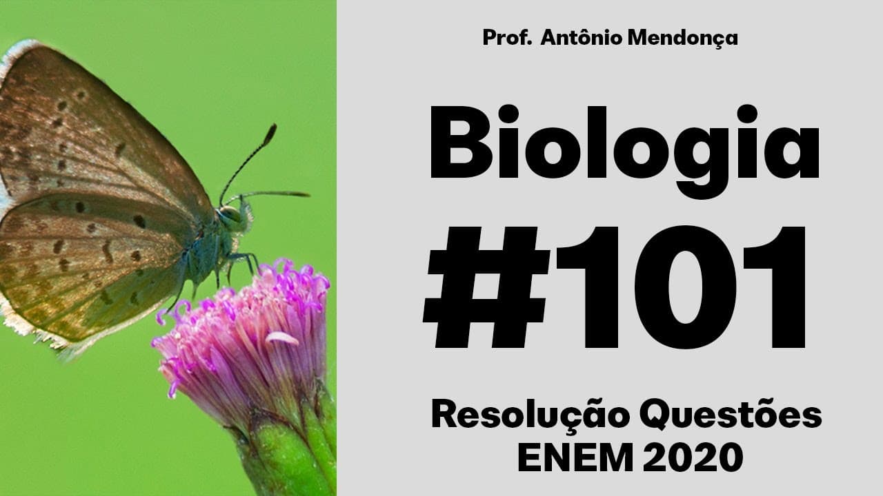 Thumbnail: ENEM - Uma população (momento A) sofre isolamento em duas subpopulações (momento B) por um fator