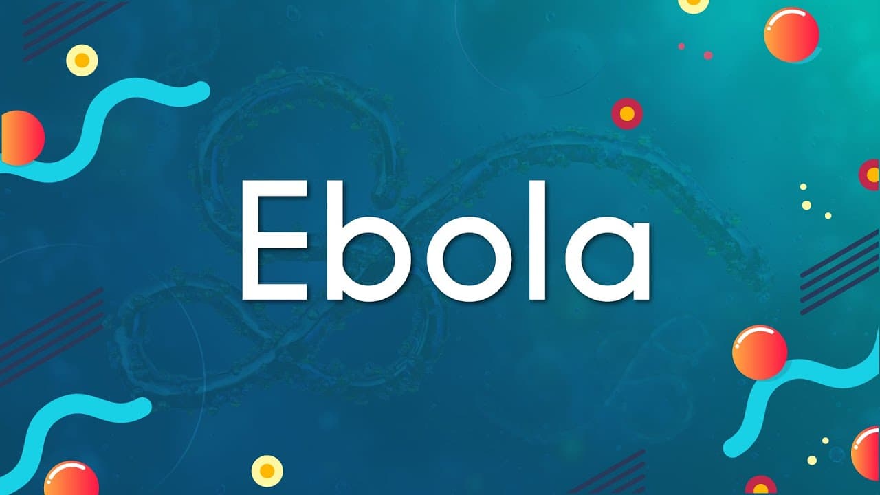 Thumbnail: Ebola - Brasil Escola