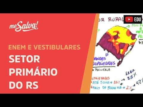 Thumbnail da aula: Setor Primário do RS - Geografia UFRGS - Me Salva!