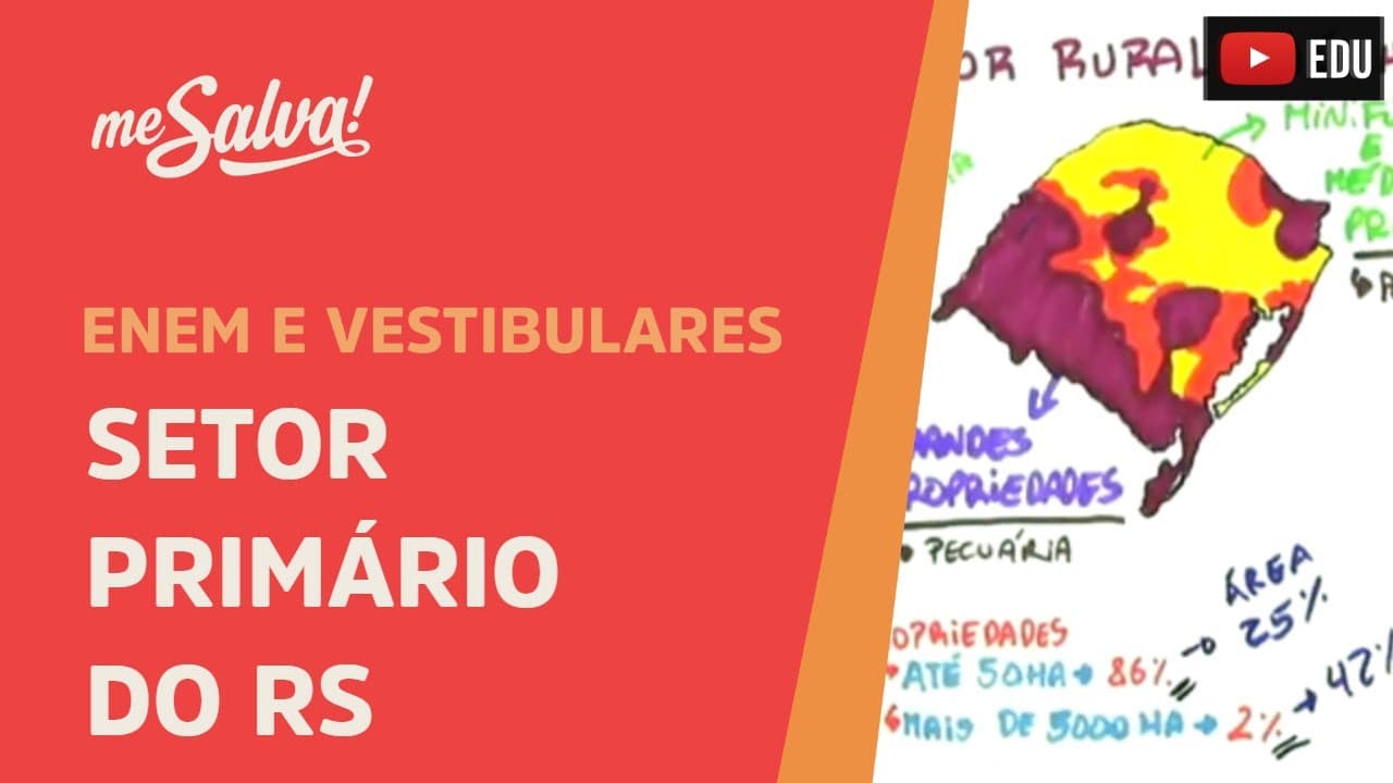 Thumbnail: Setor Primário do RS - Geografia UFRGS - Me Salva!