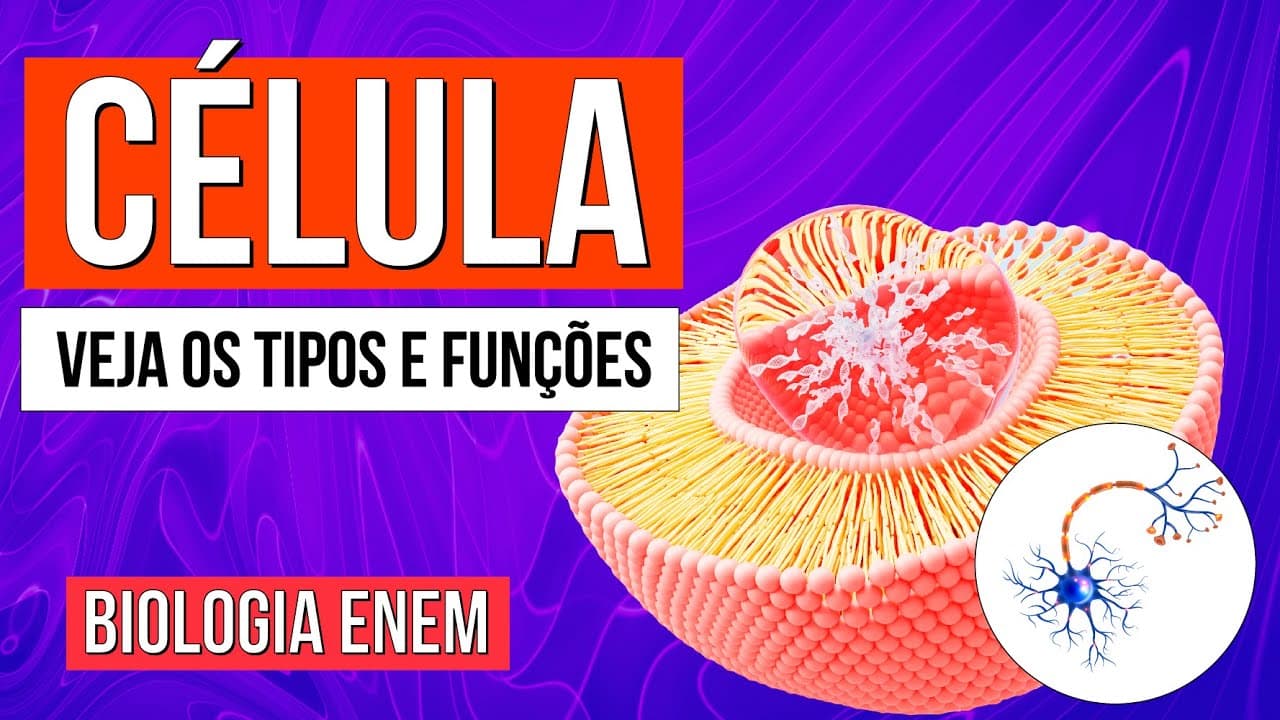 Thumbnail: CÉLULA: O que é, Funções, Tipos e Estrutura básica das Células | Biologia Enem. Profe Claudia Aguiar