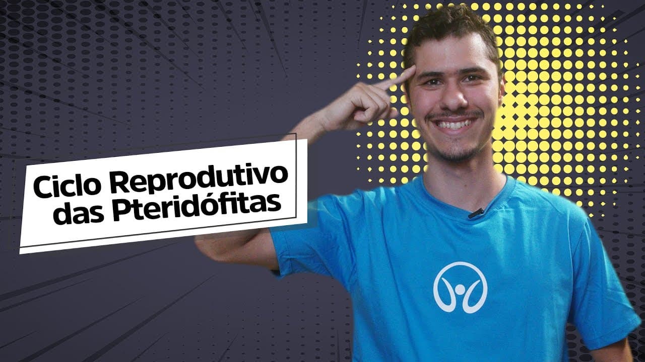 Thumbnail: Ciclo Reprodutivo das Pteridófitas - Brasil Escola