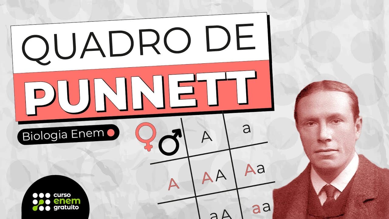 Thumbnail: QUADRO DE PUNNETT | Resumo de Biologia para o Enem