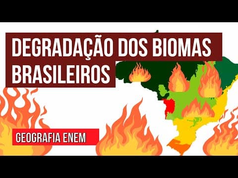 Thumbnail da aula: AS QUEIMADAS E A DEGRADAÇÃO DOS BIOMAS: causas e consequências | Geografia Enem. Raphael Carrieri