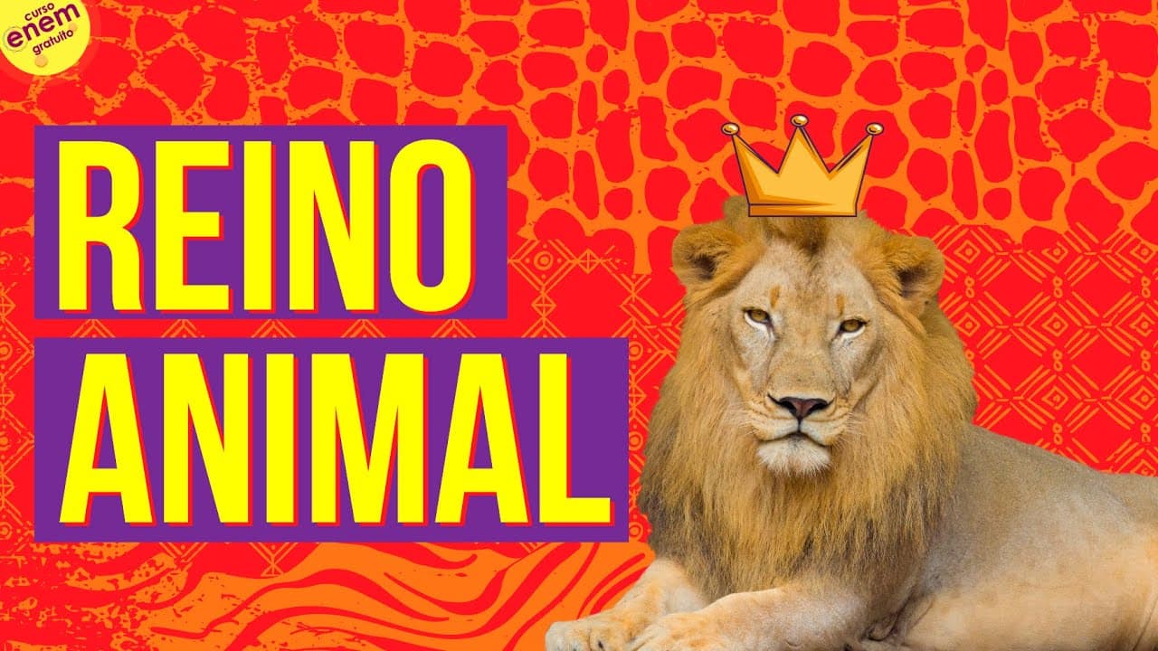 Thumbnail: REINO ANIMAL E SUAS CARACTERÍSTICAS | Resumo de Biologia para o Enem