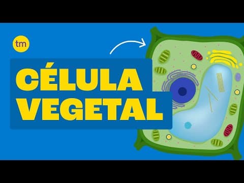 Thumbnail da aula: CÉLULA VEGETAL| Estrutura e Funções