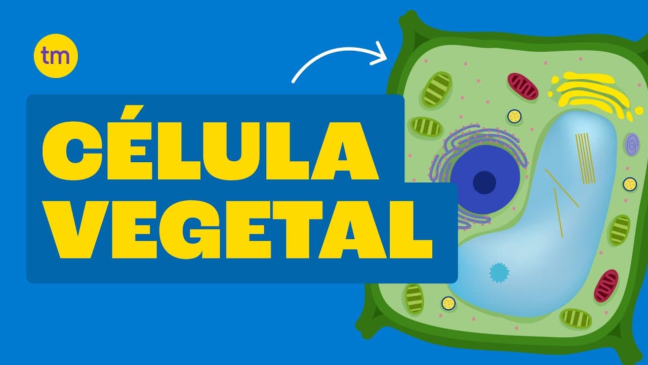 Thumbnail: CÉLULA VEGETAL| Estrutura e Funções