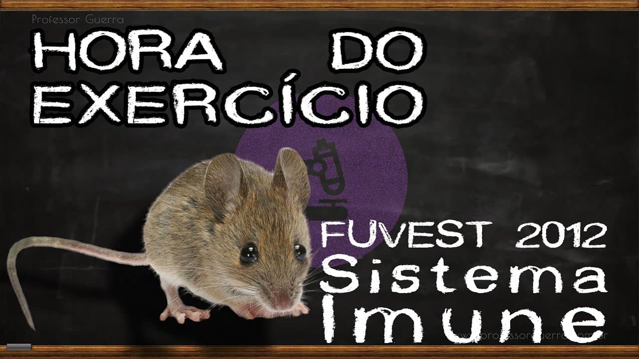 Thumbnail: Sistema imune - FUVEST 2012