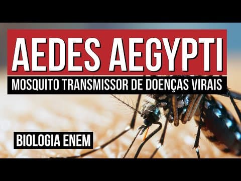 Thumbnail da aula: AEDES AEGYPTI: mosquito transmissor de doenças virais| Biologia para o Enem | Cláudia Souza Aguiar