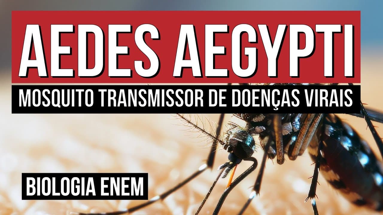 Thumbnail: AEDES AEGYPTI: mosquito transmissor de doenças virais| Biologia para o Enem | Cláudia Souza Aguiar