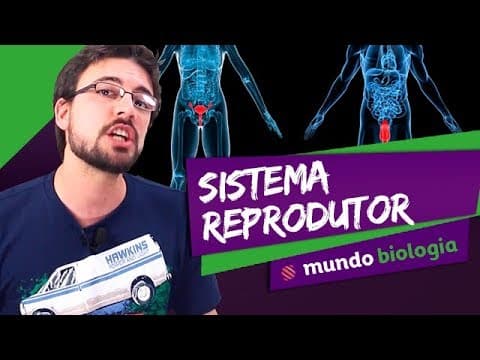Thumbnail da aula: 👩‍⚕️ Fisiologia (8/8): Sistema Reprodutor - Biologia - ENEM
